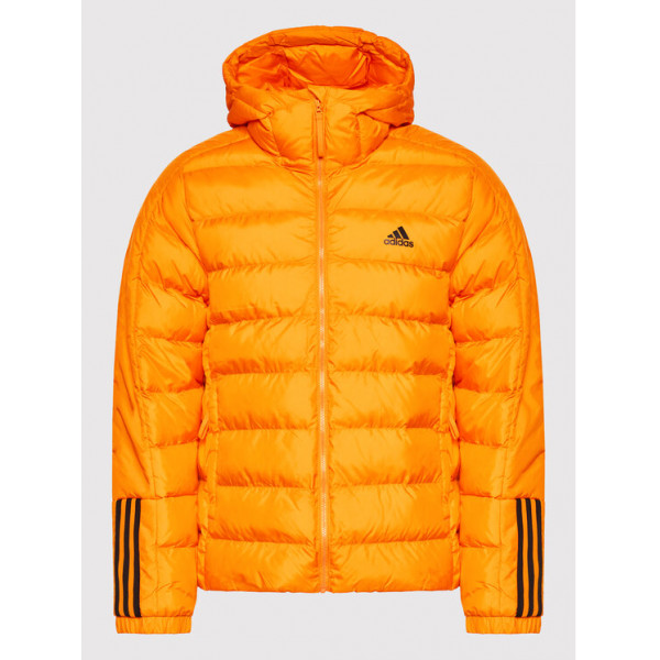 gq2348 Adidas jacket